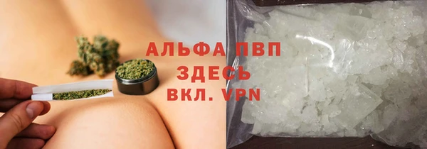 стаф Нефтегорск