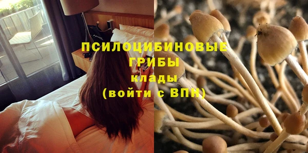 марки nbome Нефтекумск